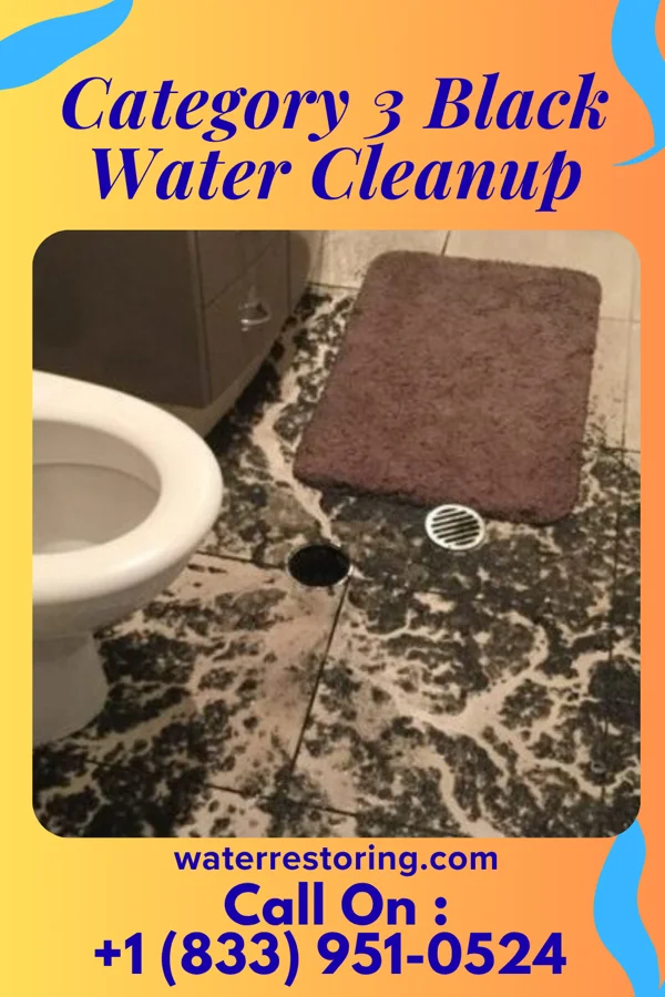 Category 3 Black Water Cleanup in Philmont, NY