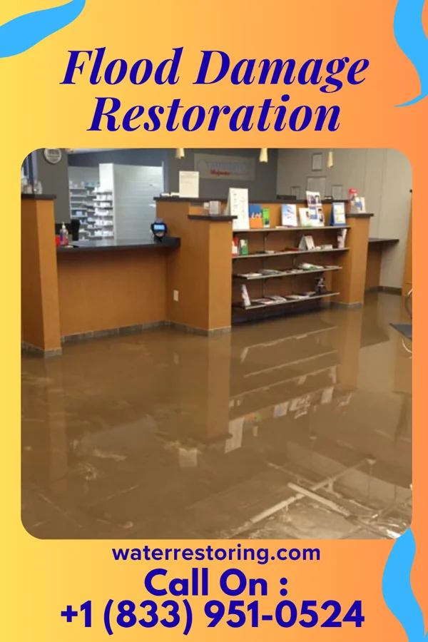 Flood Damage Restoration in Philmont, NY