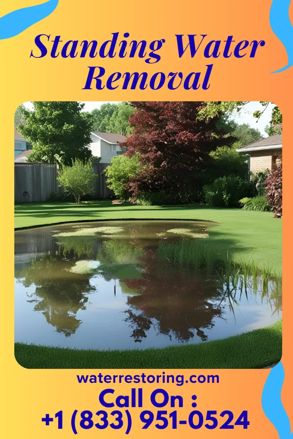 Standing Water Removal in Philmont, NY